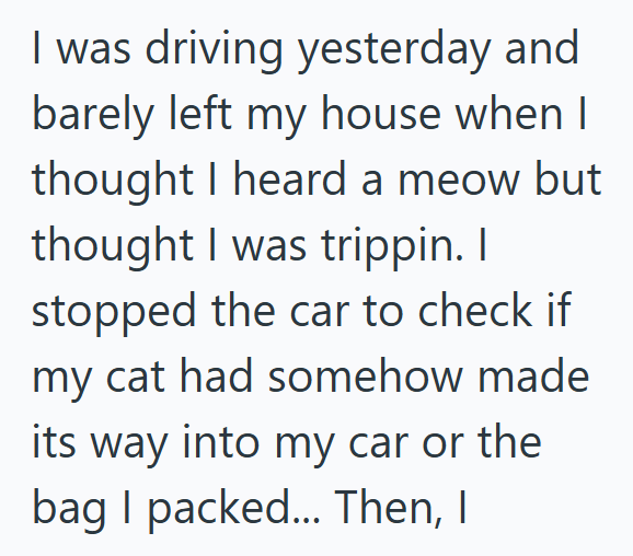 I was driving yesterday and barely left my house when I thought I heard a meow but thought I was trippin. I stopped the car to check if my cat had somehow made its way into my car or the bag I packed... Then, I