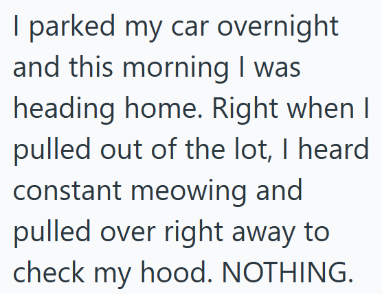 I parked my car overnight and this morning I was heading home. Right when I pulled out of the lot, I heard constant meowing and pulled over right away to check my hood. NOTHING.