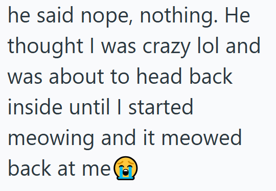 he said nope, nothing. He thought I was crazy lol and was about to head back inside until I started meowing and it meowed back at me