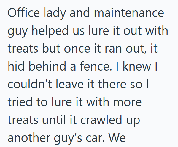 Office lady and maintenance guy helped us lure it out with treats but once it ran out, it hid behind a fence. I knew I couldn't leave it there so I tried to lure it with more. treats until it crawled up another guy's car. We