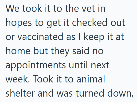 We took it to the vet in hopes to get it checked out or vaccinated as I keep it at home but they said no appointments until next week. Took it to animal shelter and was turned down,