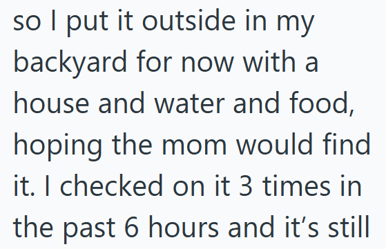 so I put it outside in my backyard for now with a house and water and food, hoping the mom would find it. I checked on it 3 times in the past 6 hours and it's still