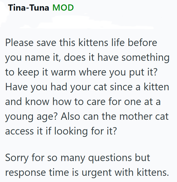 Tina-Tuna MOD Please save this kittens life before you name it, does it have something to keep it warm where you put it? Have you had your cat since a kitten and know how to care for one at a young age? Also can the mother cat access it if looking for it? Sorry for so many questions but response time is urgent with kittens.