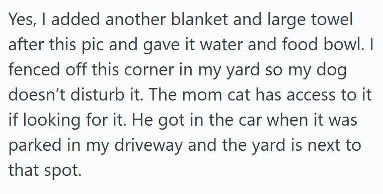 Yes, I added another blanket and large towel after this pic and gave it water and food bowl. I fenced off this corner in my yard so my dog doesn't disturb it. The mom cat has access to it if looking for it. He got in the car when it was parked in my driveway and the yard is next to that spot.