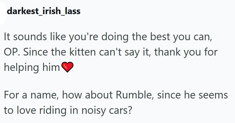 darkest_irish_lass It sounds like you're doing the best you can, OP. Since the kitten can't say it, thank you for helping him❤ For a name, how about Rumble, since he seems to love riding in noisy cars?