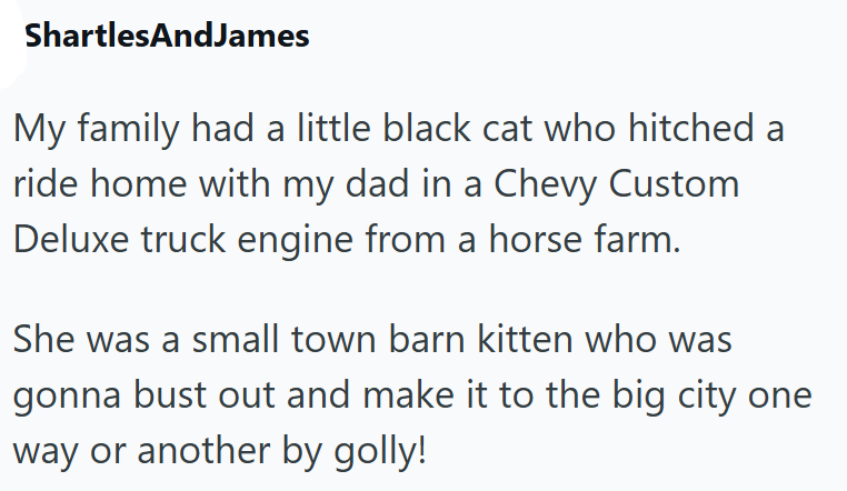 ShartlesAndJames My family had a little black cat who hitched a ride home with my dad in a Chevy Custom Deluxe truck engine from a horse farm. She was a small town barn kitten who was gonna bust out and make it to the big city one way or another by golly!