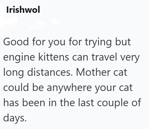 Irishwol Good for you for trying but engine kittens can travel very long distances. Mother cat could be anywhere your cat has been in the last couple of days.