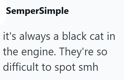 SemperSimple it's always a black cat in the engine. They're so difficult to spot smh