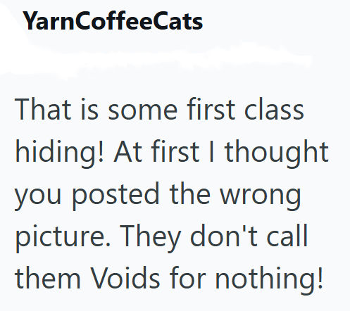 YarnCoffeeCats That is some first class hiding! At first I thought you posted the wrong picture. They don't call them Voids for nothing!