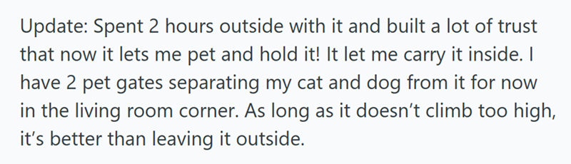 Update: Spent 2 hours outside with it and built a lot of trust that now it lets me pet and hold it! It let me carry it inside. I have 2 pet gates separating my cat and dog from it for now in the living room corner. As long as it doesn't climb too high, it's better than leaving it outside.