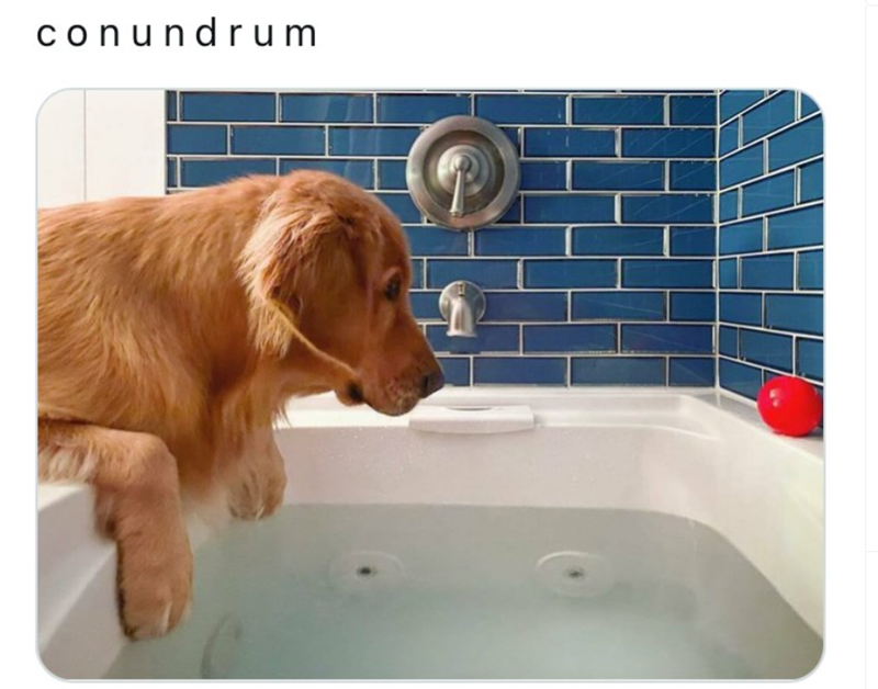 conundrum