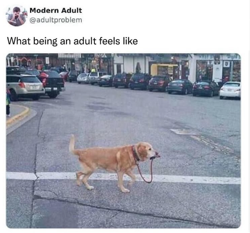 Modern Adult @adultproblem What being an adult feels like