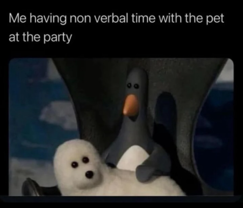 Me having non verbal time with the pet at the party