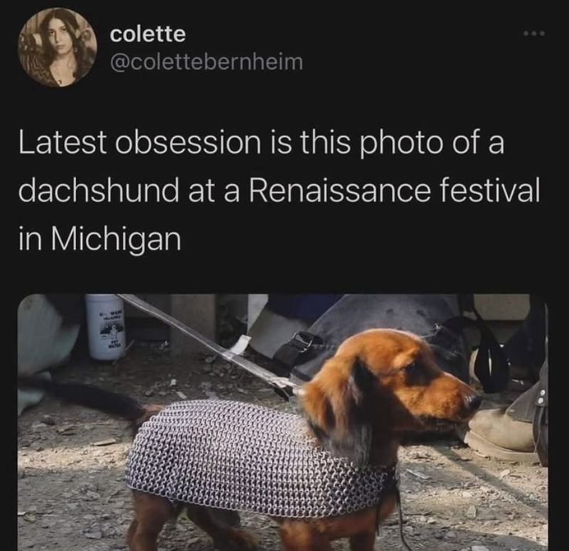 colette @colettebernheim Latest obsession is this photo of a dachshund at a Renaissance festival in Michigan