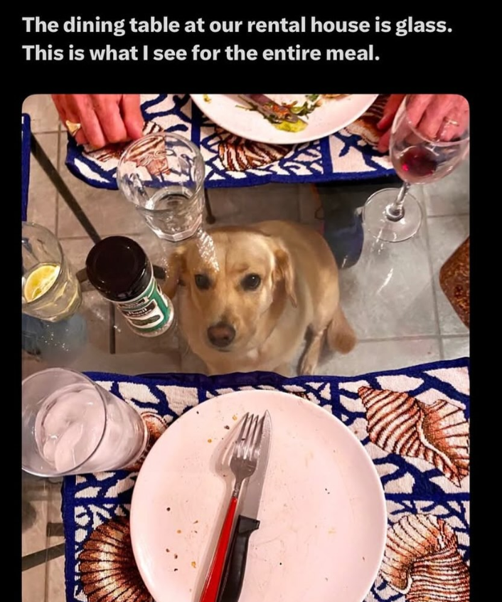 The dining table at our rental house is glass. This is what I see for the entire meal.