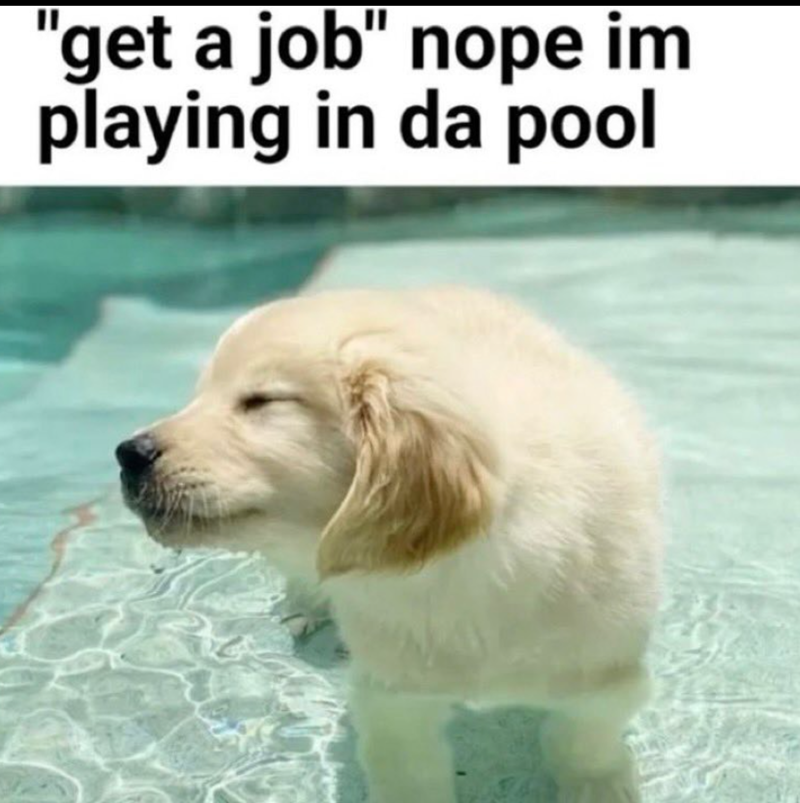 "get a job" nope im playing in da pool