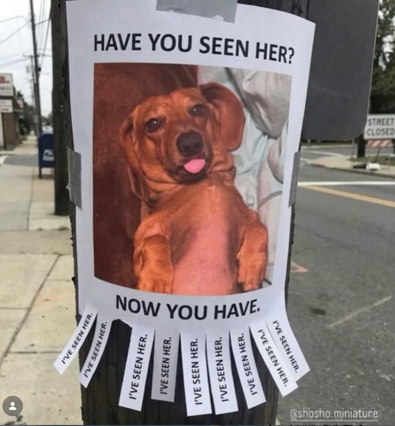 I'VE SEEN HE I'VE SEEN HER. HAVE YOU SEEN HER? NOW YOU HAVE. I'VE SEEN HER. I'VE SEEN HER. I'VE SEEN HER. I'VE SEEN HER. I'VE SEEN HER. I'VE SEEN HER. SEEN HER. @shosho.miniature CLOSED STREET