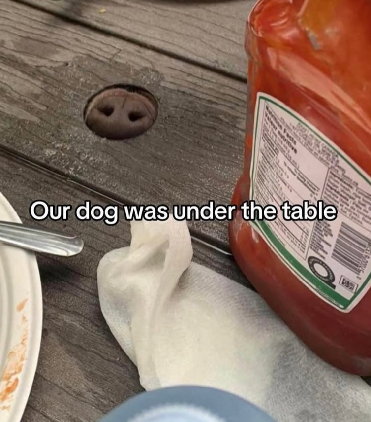 on Facts utritiv Our dog was under the table