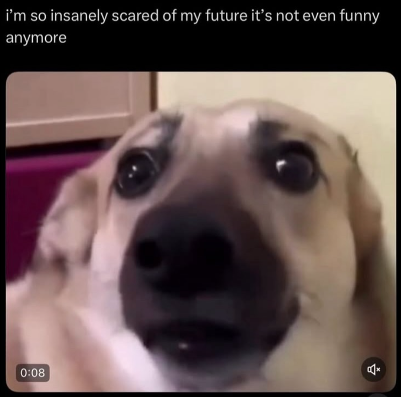 i'm so insanely scared of my future it's not even funny anymore 0:08 습