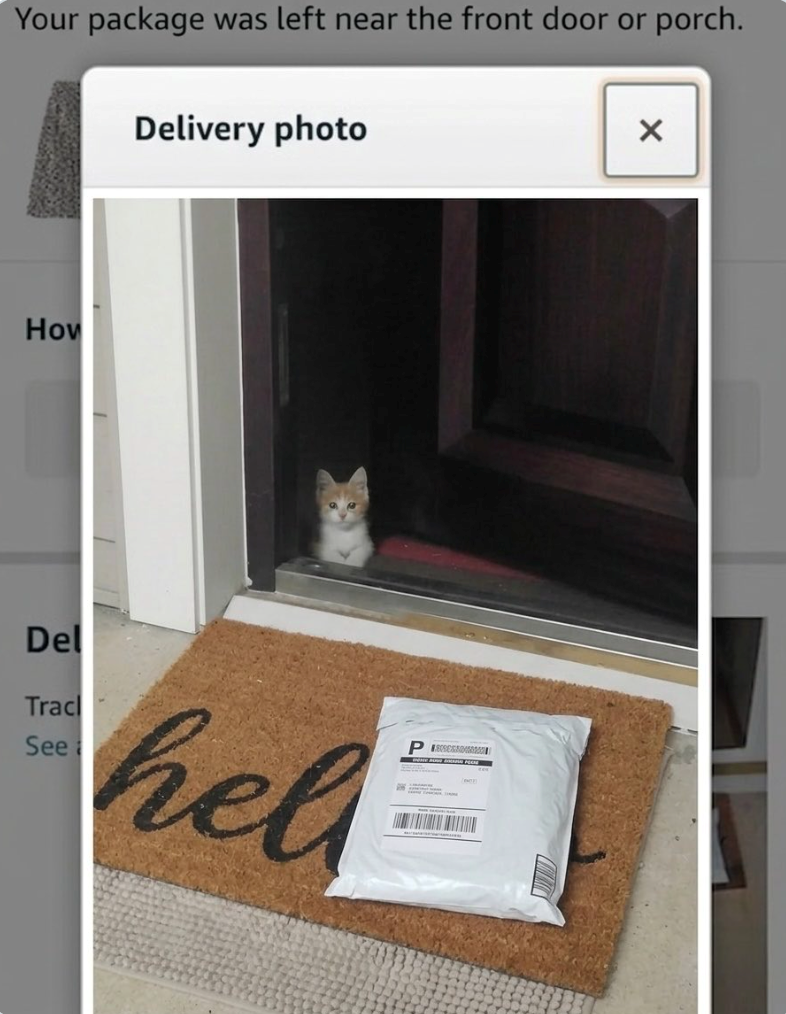 Your package was left near the front door or porch. Delivery photo How Del Tracl See hel SE