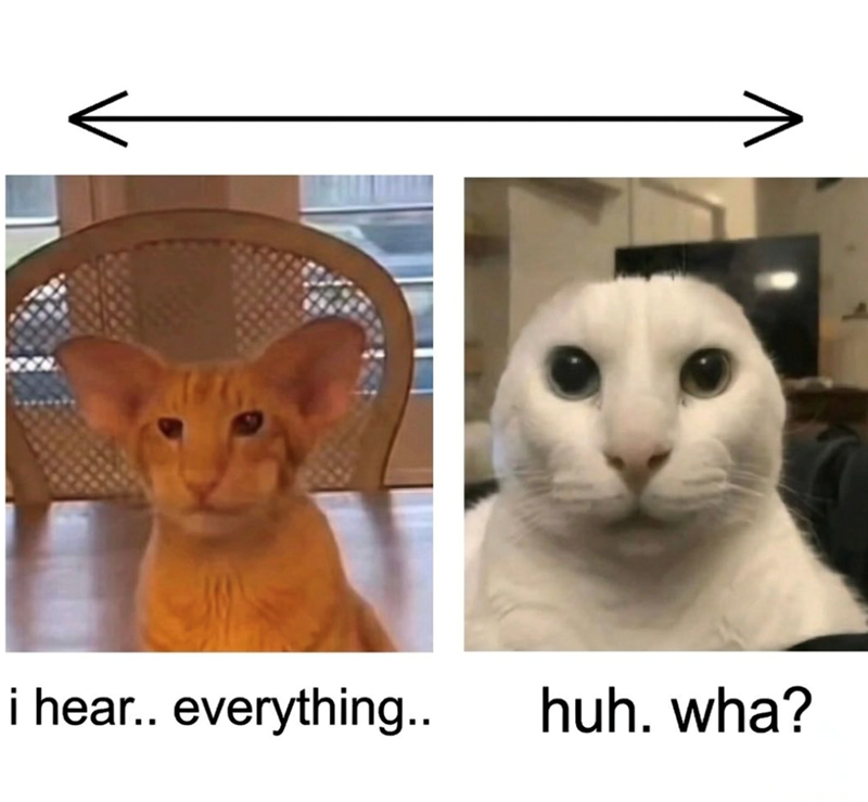 i hear.. everything.. huh. wha?