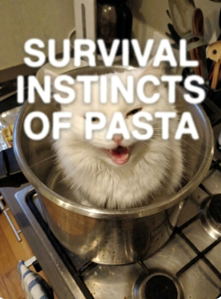 SURVIVAL INSTINCTS OF PASTA