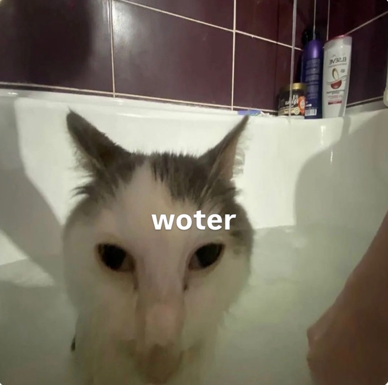 woter
