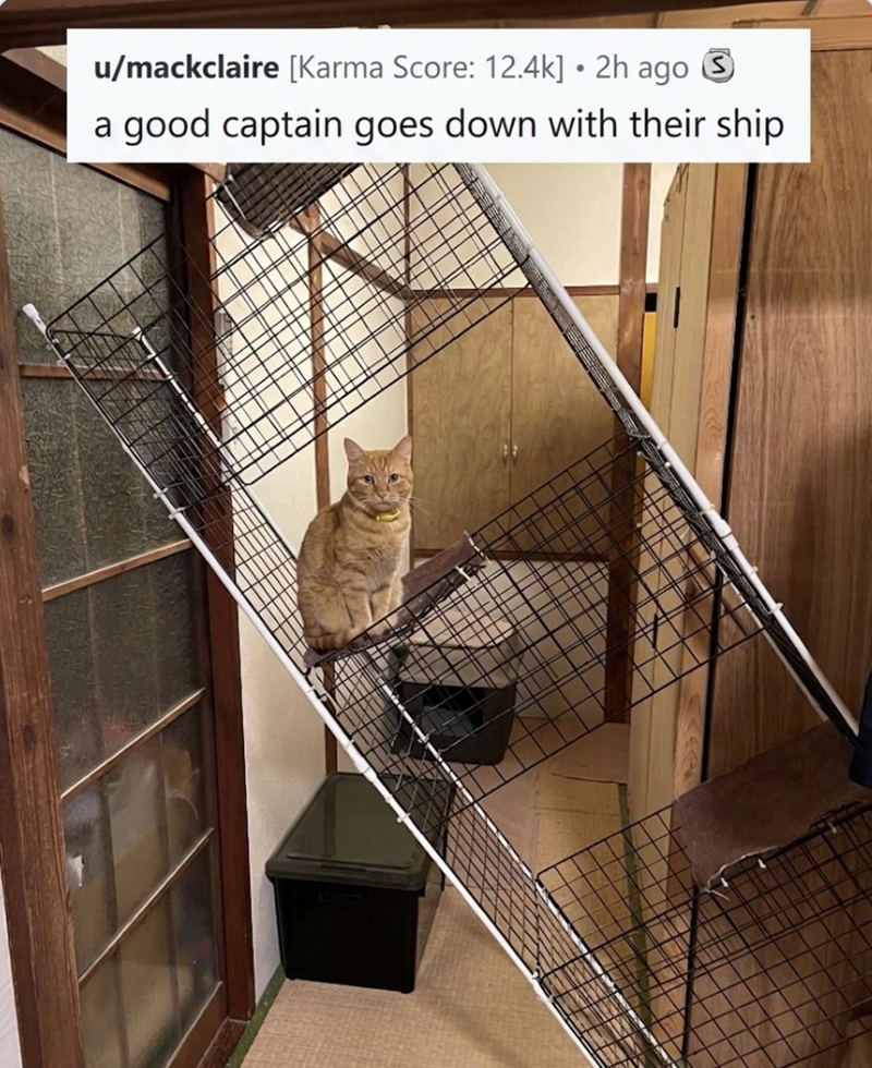 u/mackclaire [Karma Score: 12.4k] • 2h ago ⑤ a good captain goes down with their ship