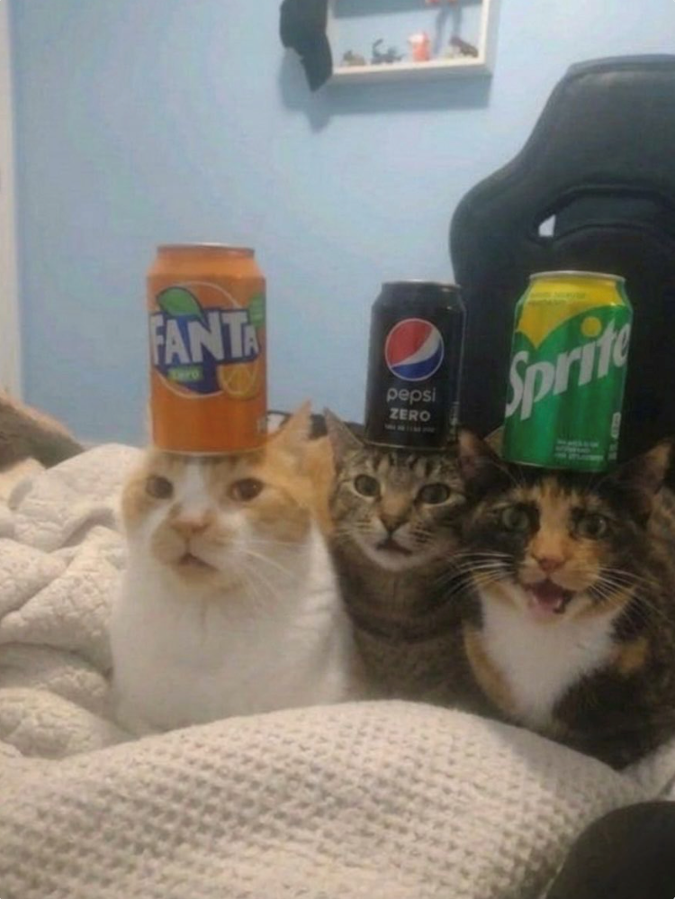 FANTA pepsi ZERO Sprite