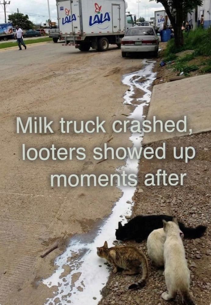 LALA && LALA LA Milk truck crashed, looters showed up moments after