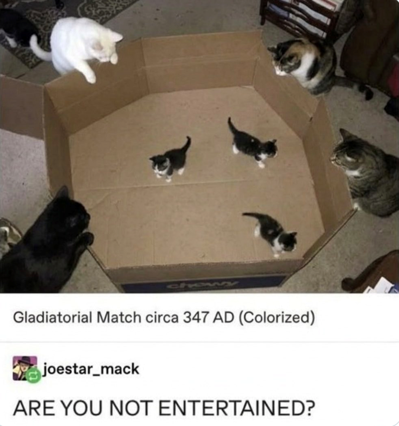 Gladiatorial Match circa 347 AD (Colorized) joestar_mack ARE YOU NOT ENTERTAINED?