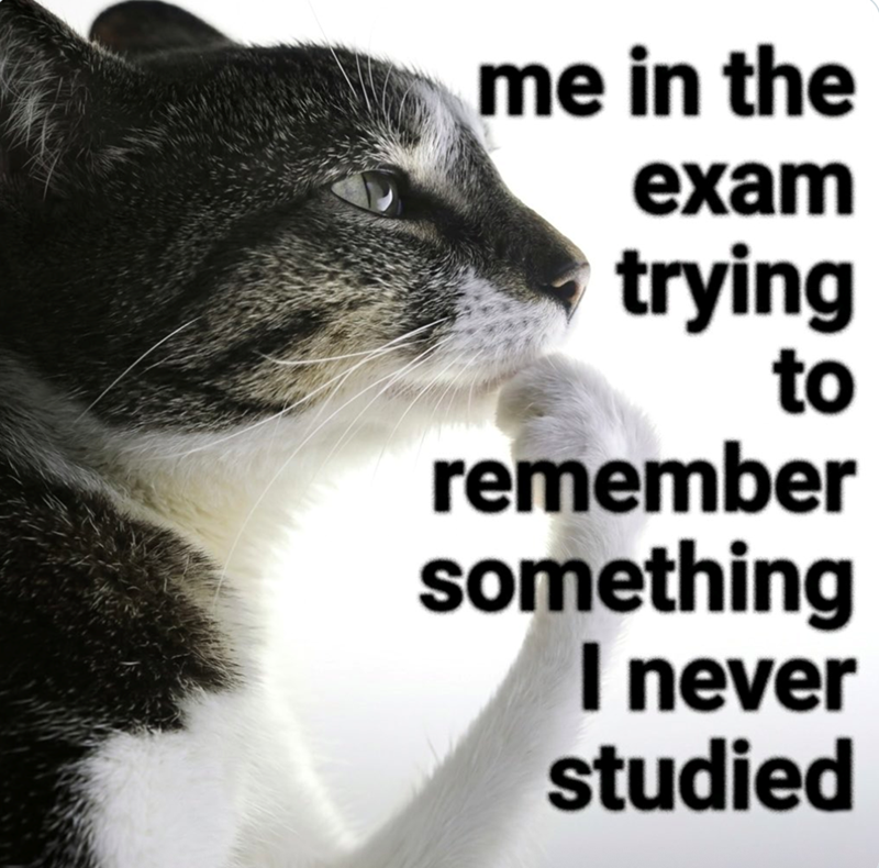 me in the exam trying to remember something I never studied