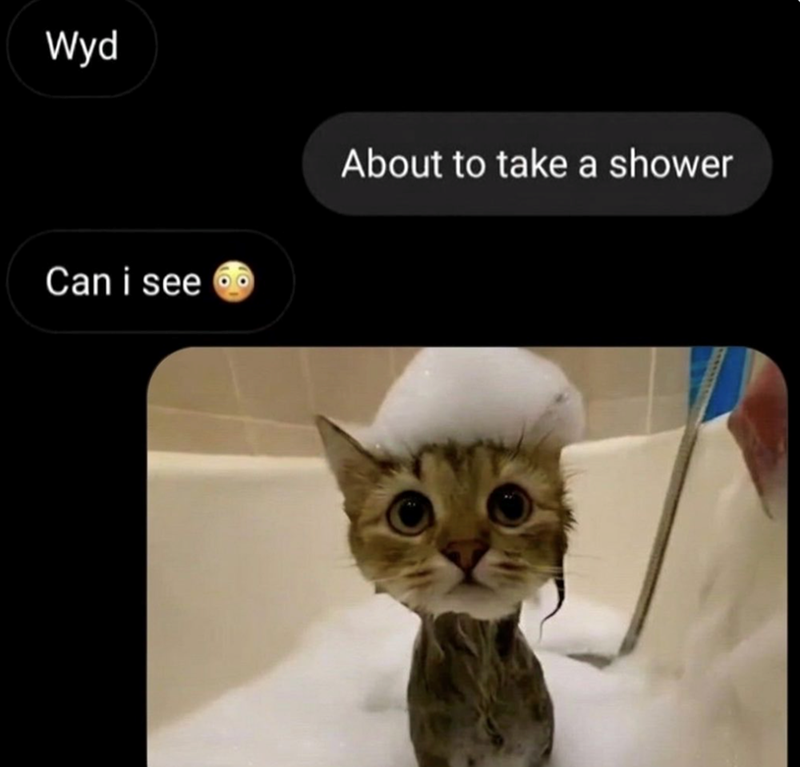 Wyd About to take a shower Can i see