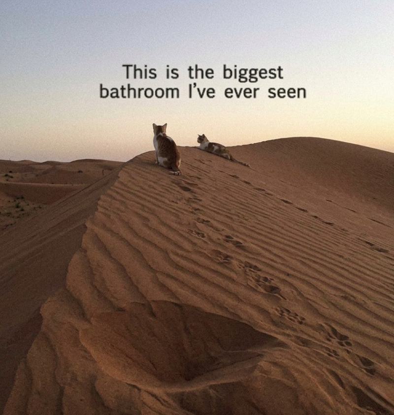 This is the biggest bathroom I've ever seen