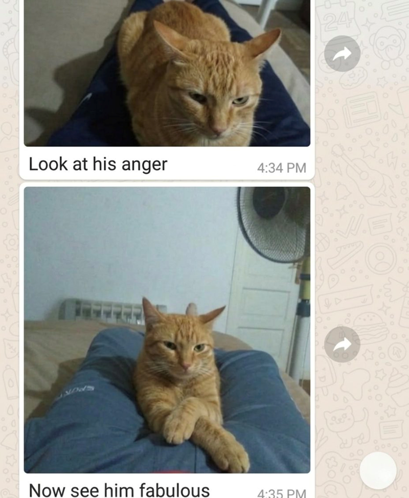 Look at his anger 4:34 PM Now see him fabulous 4:35 PM 24 000