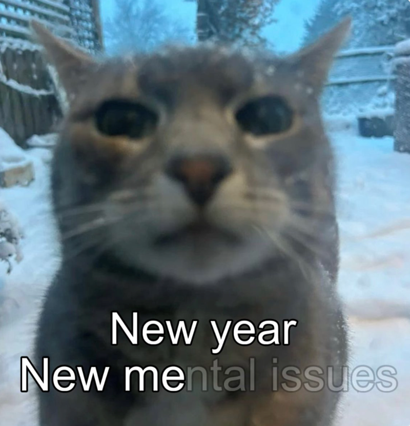 New year New mental issues