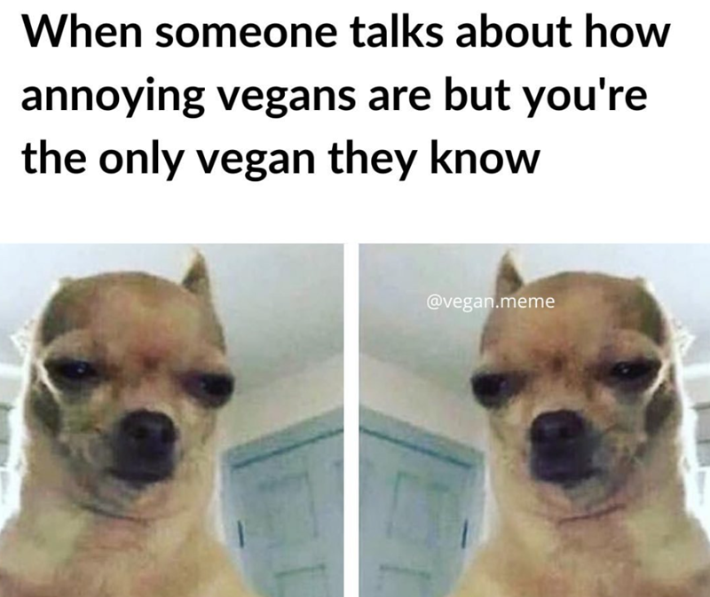When someone talks about how annoying vegans are but you're the only vegan they know @vegan.meme