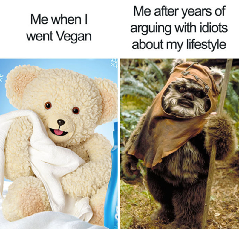 Me when I went Vegan Me after years of arguing with idiots about my lifestyle