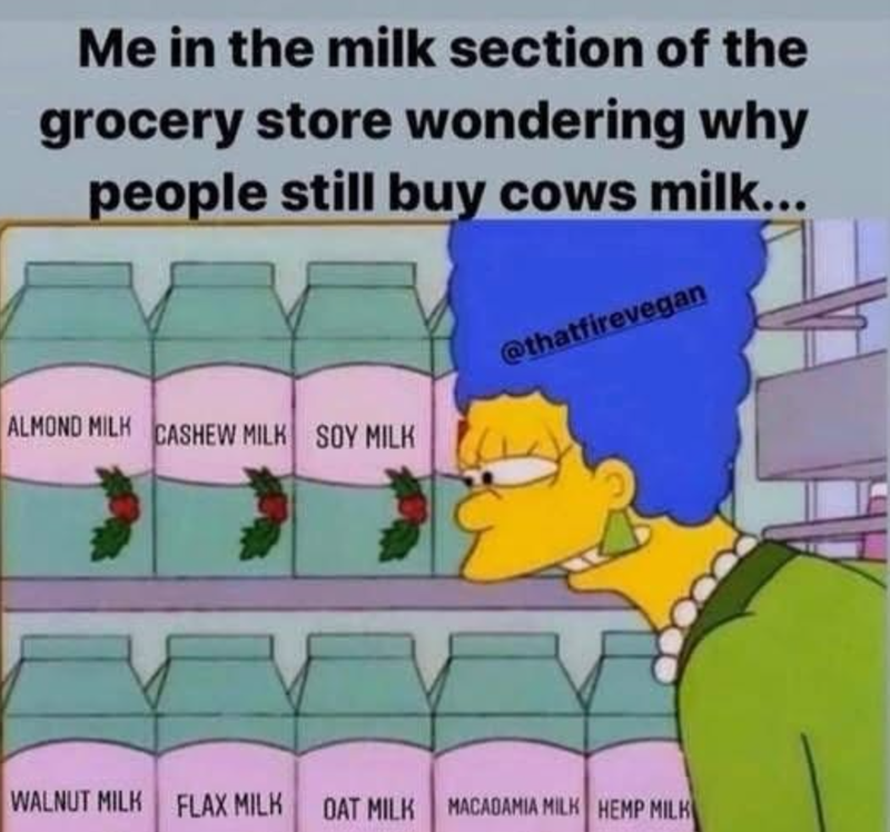 Me in the milk section of the grocery store wondering why people still buy cows milk... ALMOND MILK CASHEW MILK SOY MILK @thatfirevegan WALNUT MILK FLAX MILK OAT MILK MACADAMIA MILK HEMP MILK