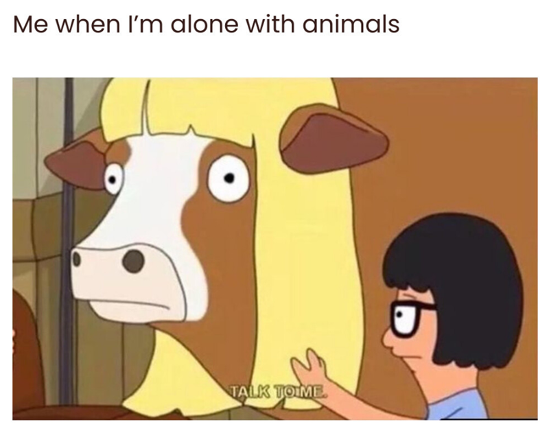 Me when I'm alone with animals TALK TOIME
