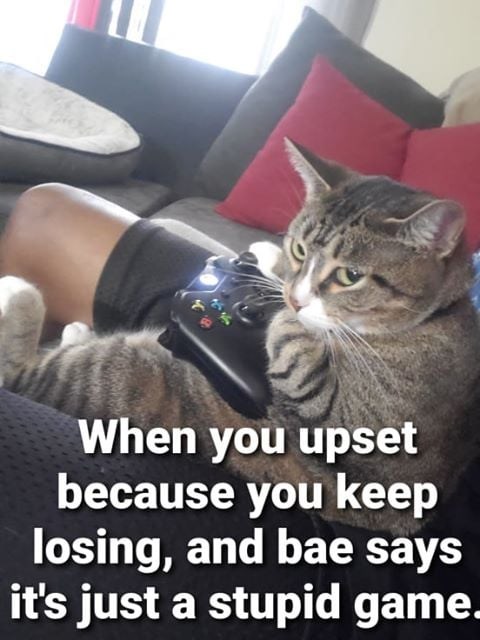 When you upset because you keep losing, and bae says it's just a stupid game.