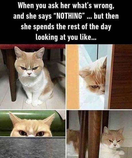 When you ask her what's wrong, and she says "NOTHING"... but then she spends the rest of the day looking at you like...