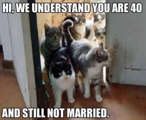HI, WE UNDERSTAND YOU ARE 40 AND STILL NOT MARRIED.