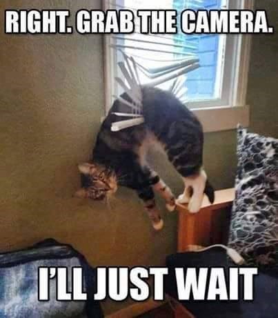RIGHT. GRAB THE CAMERA. I'LL JUST WAIT
