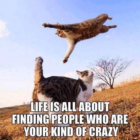 LIFE IS ALL ABOUT FINDING PEOPLE WHO ARE YOUR KIND OF CRAZY
