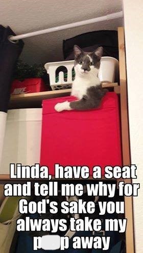 NOCE ก Linda, have a seat and tell me why for God's sake you always take my pop away