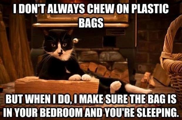 I DON'T ALWAYS CHEW ON PLASTIC BAGS BUT WHEN I DO, I MAKE SURE THE BAG IS IN YOUR BEDROOM AND YOU'RE SLEEPING.