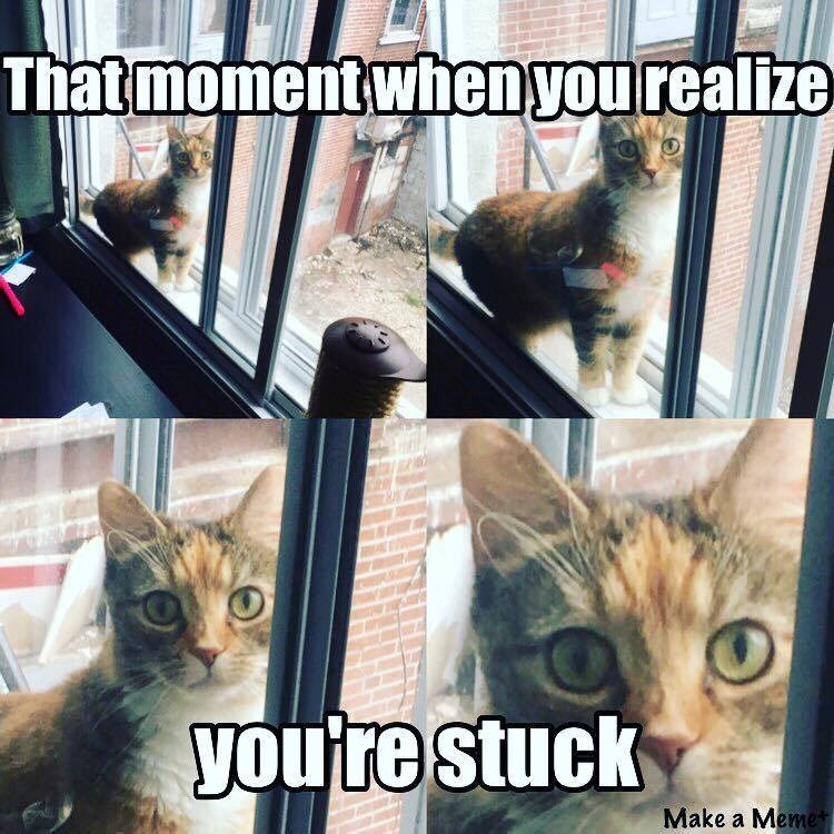 That moment when you realize you're stuck O Make a Meme+
