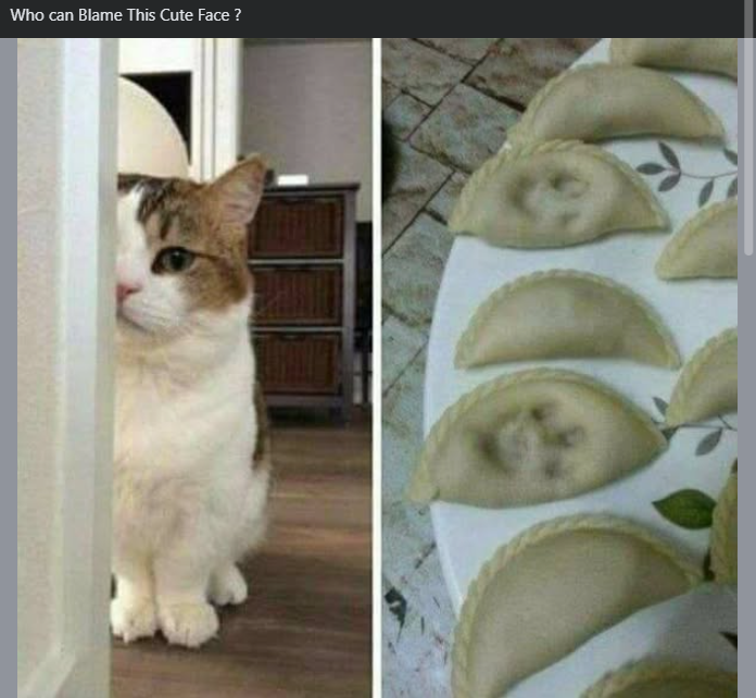 Who can Blame This Cute Face?