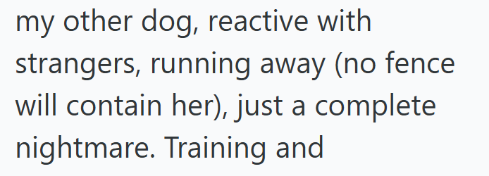 my other dog, reactive with strangers, running away (no fence will contain her), just a complete nightmare. Training and